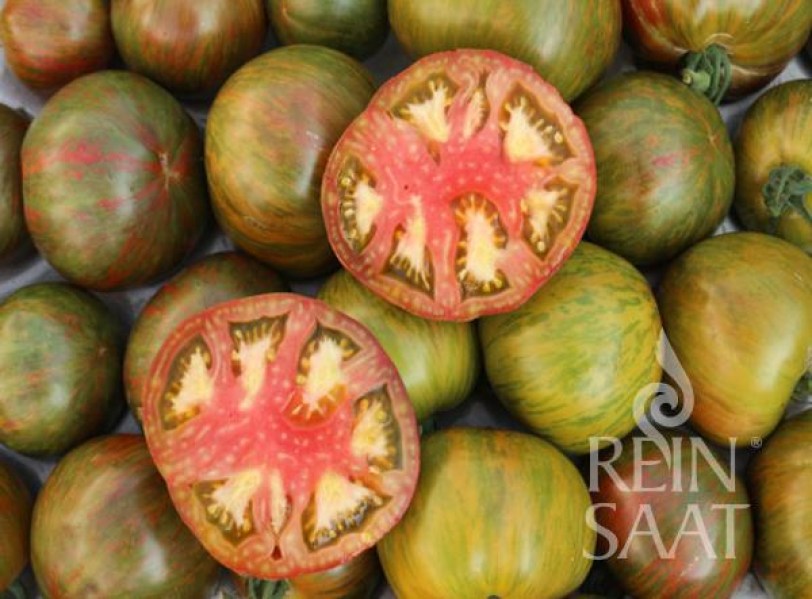 to049_rs-to-11.15_cassio rajciny